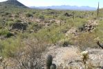 PICTURES/Goldfield Ovens Loop Trail/t_Trail View2.JPG